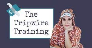 Elizabeth Goddard The Tripwire Training