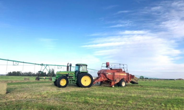 Pedro Ciganda, a Basque immigrant, making his own success and seen here baling hay in Moses Lake, WA